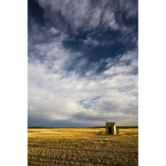 Posterazzi DPI1829869 Shack in Field Poster Print by Steve Nagy, 12 x 19