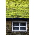 thumbnail image 1 of Posterazzi DPI1830192 Cottage with Grass Growing On Roof Poster Print by John Short, 11 x 17, 1 of 4