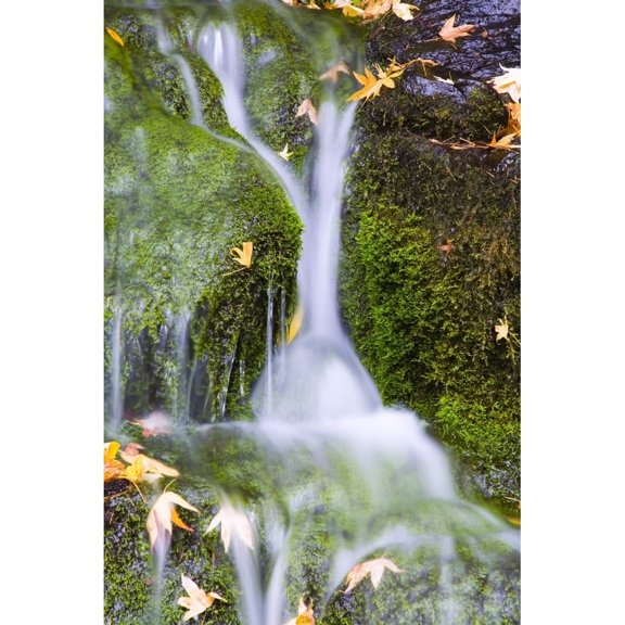 Posterazzi DPI1830299 Crystal Springs Waterfall At Oregon United States of America Poster Print by Craig Tuttle, 11 x 17