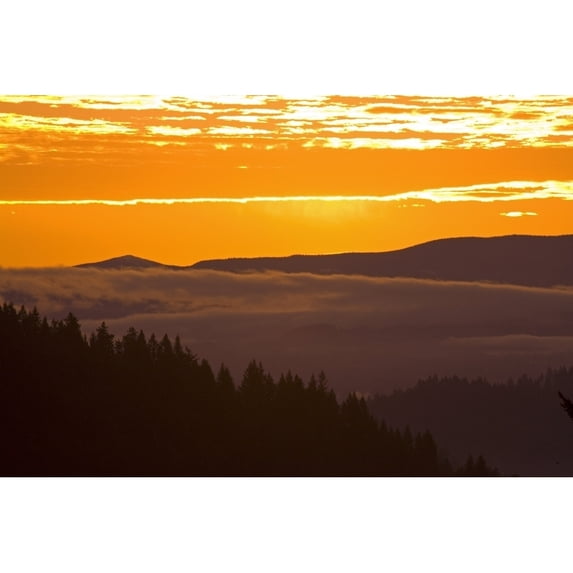 Posterazzi DPI1830318LARGE Sunrise Willamette Valley Oregon United States of America Poster Print by Craig Tuttle, 34 x 22 - Large