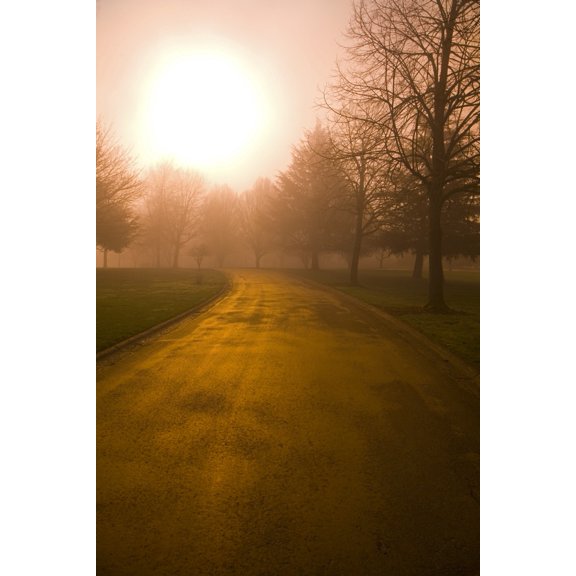 Posterazzi DPI1830360LARGE Sunrise Over Country Road Oregon United States of America Poster Print by Craig Tuttle, 22 x 34 - Large