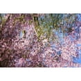 thumbnail image 1 of Posterazzi DPI1830394 Spring Blossoms Reflecting in Lake Poster Print by Craig Tuttle, 17 x 11, 1 of 4