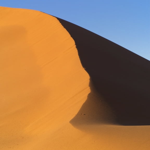 Posterazzi DPI1831505LARGE Sand Dune Namibia Africa Poster Print by Keith Levit, 24 x 24 - Large
