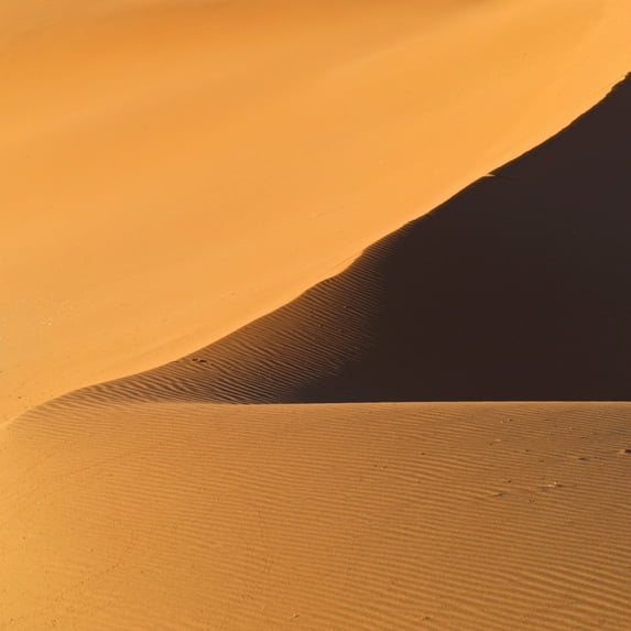 Posterazzi DPI1831506 The Desert in Nambia Africa Poster Print by Keith Levit, 15 x 15