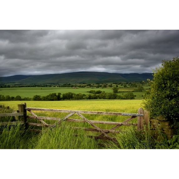 Posterazzi DPI1832449 Field Cumbria England Poster Print, 17 x 11
