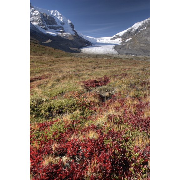 Columbia Icefield, Jasper National Park, Alberta, Canada Poster Print (22 x 34)