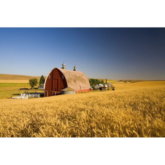 Posterazzi DPI1840000 Sunset Barn & Wheat Field - Steptoe Butt Washington USA Poster Print, 20 x 13