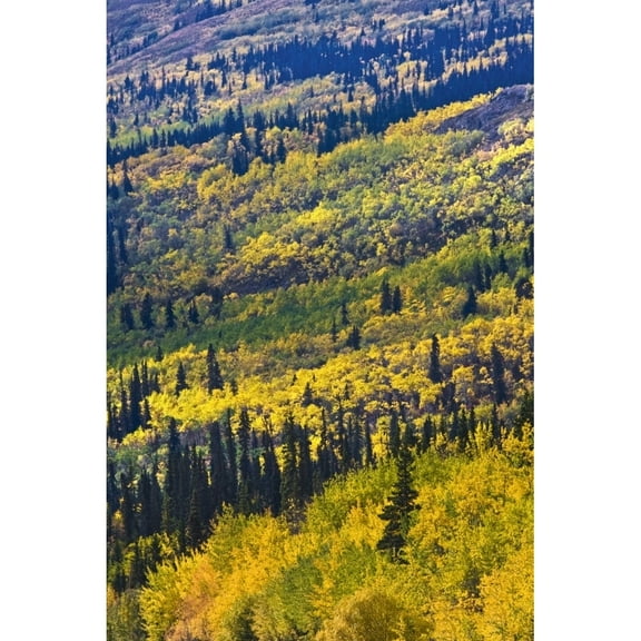 Posterazzi DPI1841127 Autumn Countryside Yukon Territories Canada Poster Print, 12 x 18