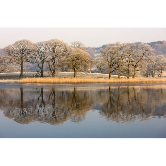 Posterazzi DPI1844558 Cumbria England - Lake Scenic with Autumn Trees Reflected in Water Poster Print, 18 x 12