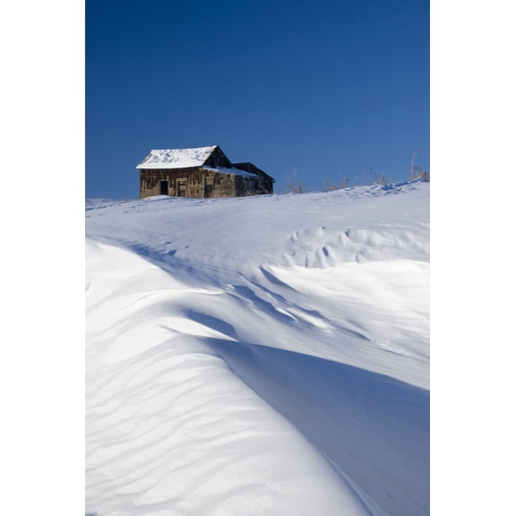 Alberta, Canada; Abandoned Farm Building Atop A Snowy Hill Poster Print (11 x 17)
