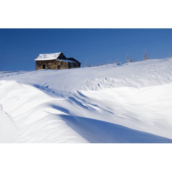Alberta, Canada; Abandoned Farm Building Atop A Snowy Hill Poster Print (17 x 11)
