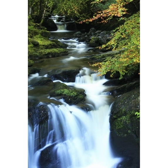 Posterazzi DPI1844923LARGE Torc Waterfall Killarney National Park County Kerry Ireland Poster Print, Large - 24 x 36