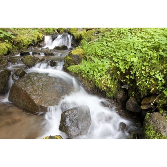 Posterazzi DPI1845528LARGE Water Cascading Over Rocks Mount Hood National Forest Oregon United States of America Poster Print, Large - 36 x 24