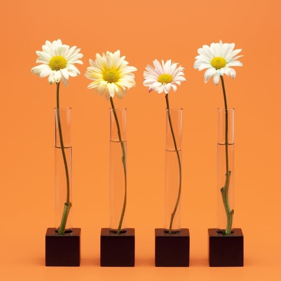 Posterazzi DPI1845735 Four Flowers Poster Print, 15 x 15