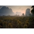 thumbnail image 1 of Posterazzi DPI1846203LARGE Bundles in Mountain Area - Yangshuo China Poster Print, Large - 40 x 26, 1 of 3