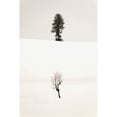 thumbnail image 1 of Posterazzi DPI1854883 Trees in The Snow Poster Print, 12 x 19, 1 of 3