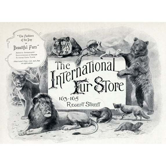 Posterazzi DPI1856401 Advertisement for The International Fur Store From The Connoisseur A Magazine Poster Print, 17 x 12