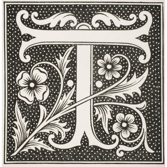 Posterazzi DPI1857857 Decorative Capital Letter T Poster Print, 14 x 15