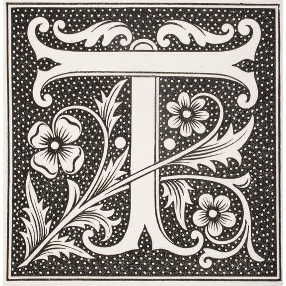 Posterazzi DPI1857857LARGE Decorative Capital Letter T Poster Print, Large - 28 x 30