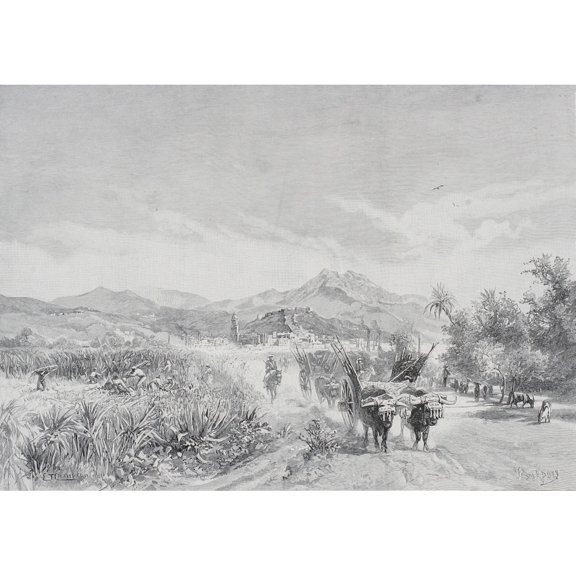 Posterazzi DPI1858947LARGE Malaga Spain From The Sugar Fields by Edward T. Compton From The Picturesque Mediterranean Circa 1890 Poster Print, Large - 34 x 24