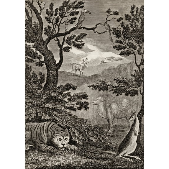 Posterazzi DPI1858955 Part of The Natural History of Asia. 18th Century Print Engraved by Wallis After W.M.Craig Poster Print, 12 x 18
