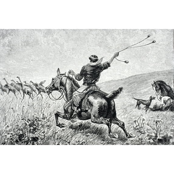 Posterazzi DPI1861749 Throwing the Bolas Engraving From Journal of Researches by Charles Darwin Published by Nelson & Sons 1890 Poster Print, 17 x 11