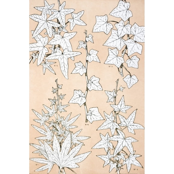 Posterazzi DPI1862594 Leaves & Flowers From Nature No 3 Plate Xciii From the Grammar of Ornament by Owen Jones Published by Day & Son London Poster Print, 12 x 18