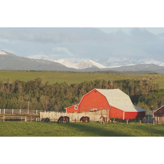 Posterazzi DPI1866548LARGE Red Barn with Horses Grazing Poster Print, 38 x 24