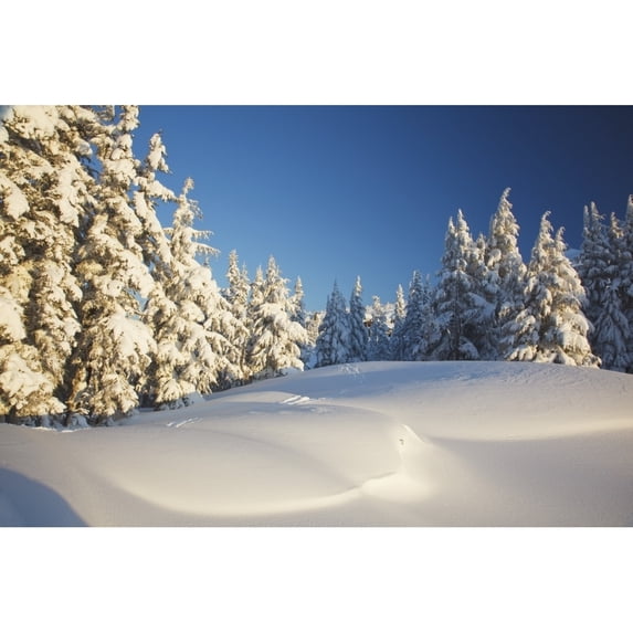 Posterazzi DPI1867501 Winter Scene Mount Hood Oregon Cascades Oregon USA Poster Print, 19 x 12