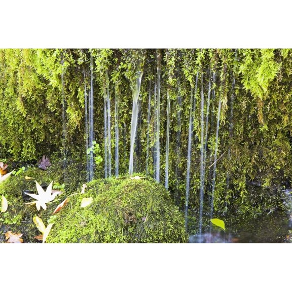 Posterazzi DPI1868325 Oregon Cascades Oregon USA Poster Print, 18 x 12