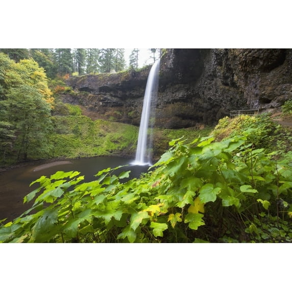 Posterazzi DPI1868383LARGE South Silver Falls Silver Falls State Park Oregon USA Poster Print, 38 x 24