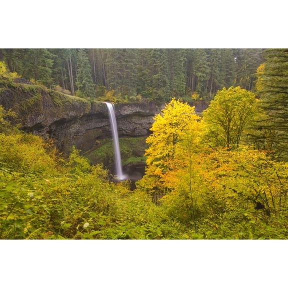 Posterazzi DPI1870188LARGE Oregon United States of America - South Silver Falls In the Autumn In Silver Falls State Park Poster Print, 36 x 24