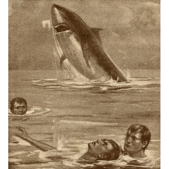 Posterazzi DPI1872760LARGE 19th Century Illustration of Man Rescuing Swimmer with Shark In Background Poster Print, 26 x 30 - Large
