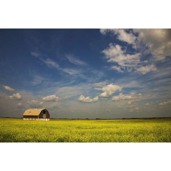 Posterazzi DPI1874701LARGE Alberta, Canada - An Old Barn In A Field Poster Print, 38 x 24 - Large