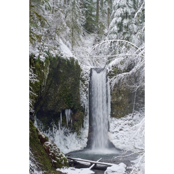 Posterazzi DPI1875414 Oregon, United States of America - Wiesendanger Falls In Winter In The Columbia River Gorge Poster Print, 12 x 19