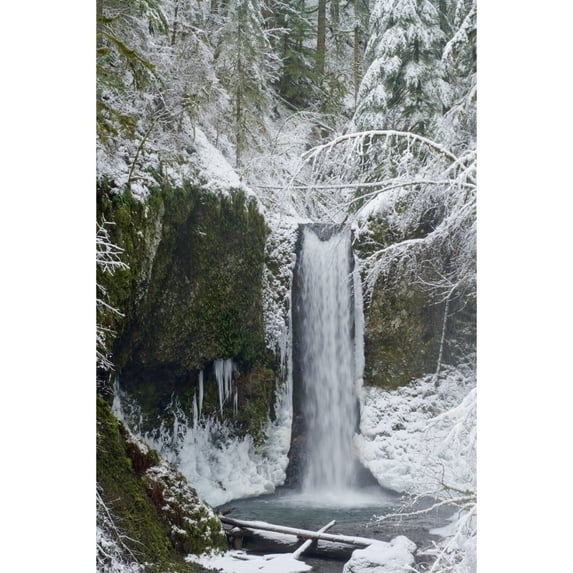 Posterazzi DPI1875414LARGE Oregon, United States of America - Wiesendanger Falls In Winter In The Columbia River Gorge Poster Print, 24 x 38 - Large