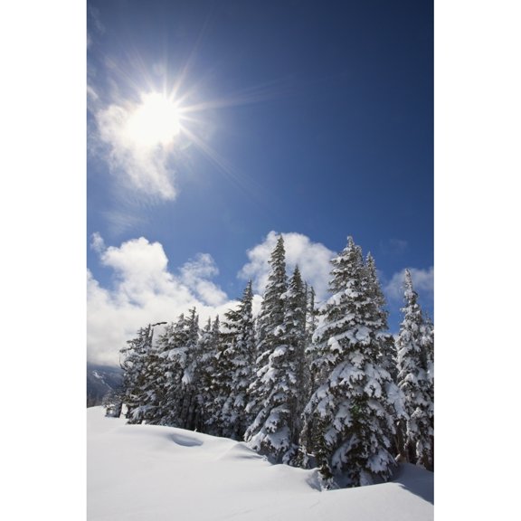Posterazzi DPI1875511LARGE Timberline, Oregon Cascades, United States of America - Snow On The Trees & The Sunlight On Mount Hood Poster Print, 24 x 38 - Large