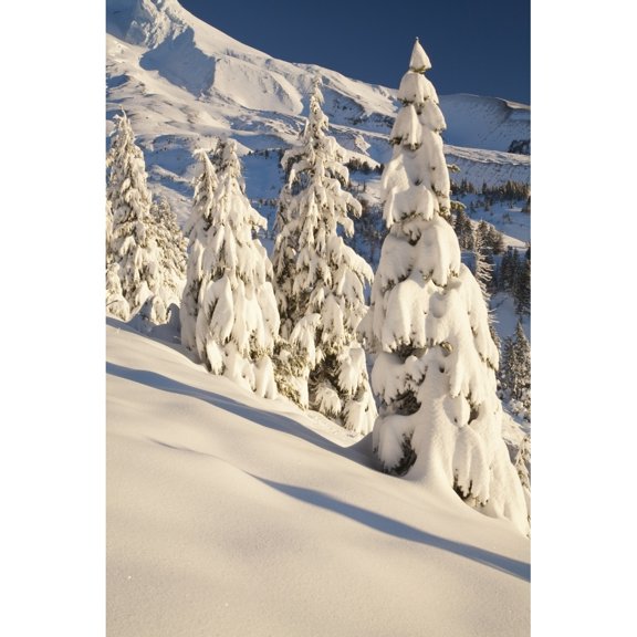 Posterazzi DPI1876308 Oregon, United States of America - Snow Covering A Mountain & Trees In Winter On Mount Hood In The Oregon Cascades Poster Print, 12 x 19
