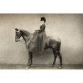 thumbnail image 1 of Posterazzi DPI1877600LARGE Mrs. Emily Monroe Dickinson 1841 -1918 Sister of Charles Stewart Parnell From The Book A Patriots Mistake By Emily Monroe Dickinson Poster Print, 34 x 24 - Large, 1 of 3