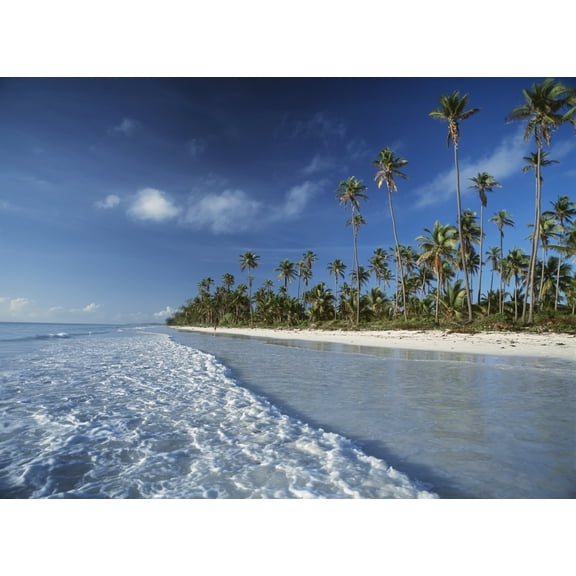 Posterazzi DPI1886301 Waves Lapping Shore of Beach with Palm Trees Behind Poster Print, 18 x 13