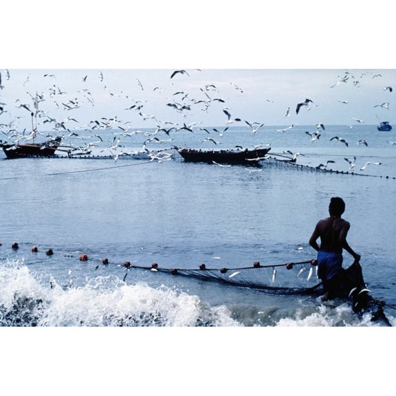 Posterazzi DPI1886532LARGE Fisherman Collecting Nets On Beach Poster Print, 34 x 22 - Large