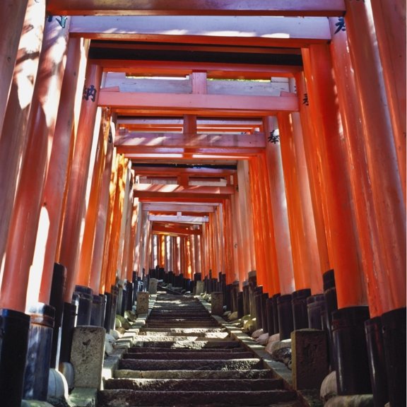 Posterazzi DPI1887802LARGE Red Torii Arches Over Steps At Inari Temple Poster Print, 24 x 24 - Large