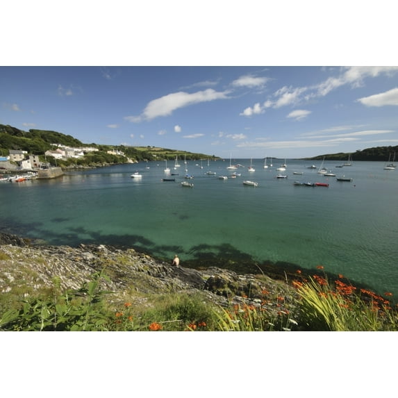 Posterazzi DPI1898885LARGE Bay Beside Glandore Village In West Cork In Munster Region - Glandore, County Cork, Ireland Poster Print, 38 x 24 - Large