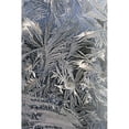 thumbnail image 1 of Posterazzi DPI1900629LARGE Frost Crystals On A Window - Calgary, Alberta, Canada Poster Print, 24 x 38 - Large, 1 of 1