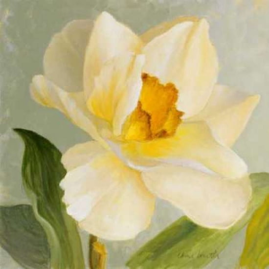 Posterazzi Daffodil Sky I Canvas Art - Lanie Loreth (24 x 24)