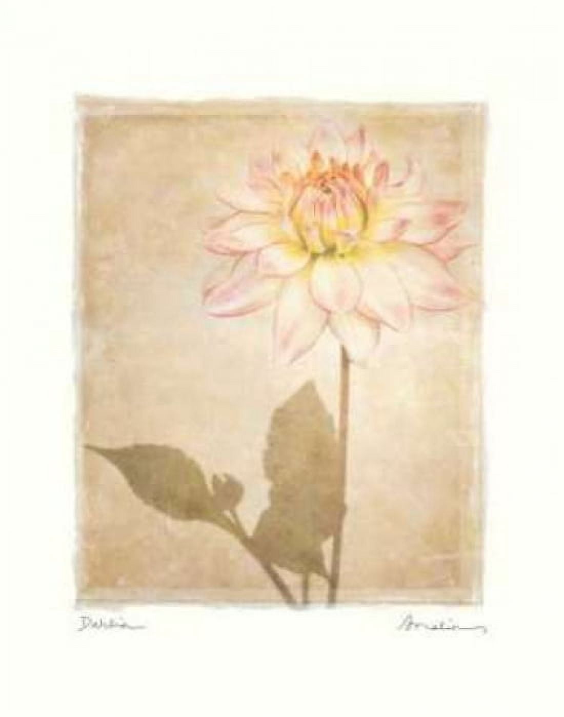 Posterazzi Dahlia Canvas Art - Amy Melious (22 x 28)