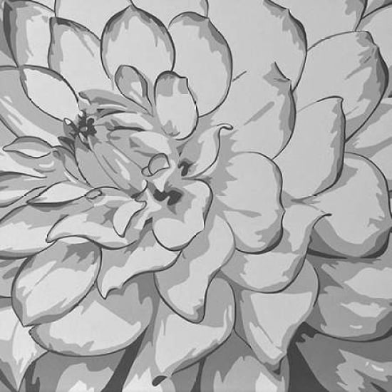 Posterazzi Dahlia Canvas Art - Susan Porter (24 x 24)