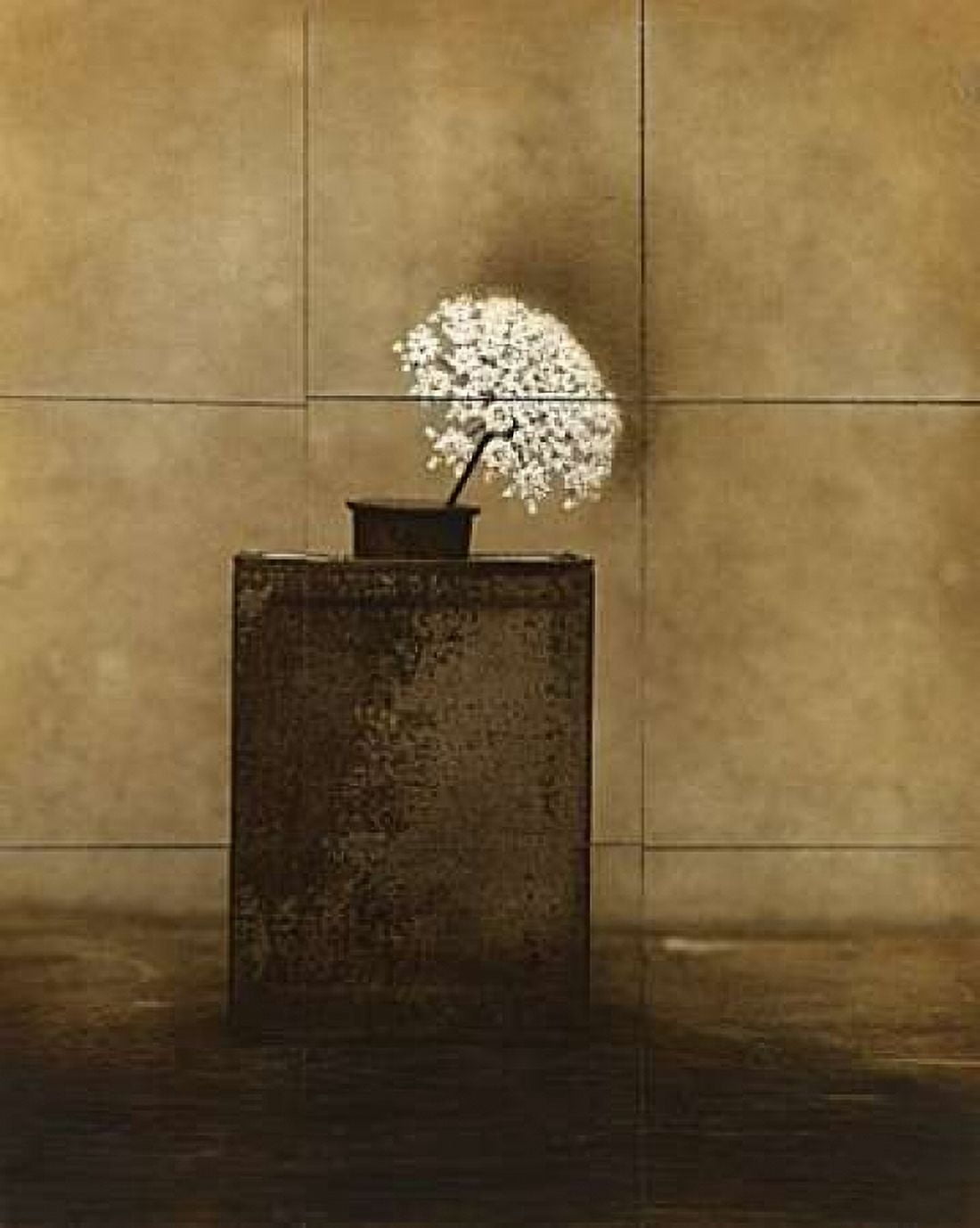 Posterazzi Dark Vessel Canvas Art - Jan Gauthier (24 x 30)