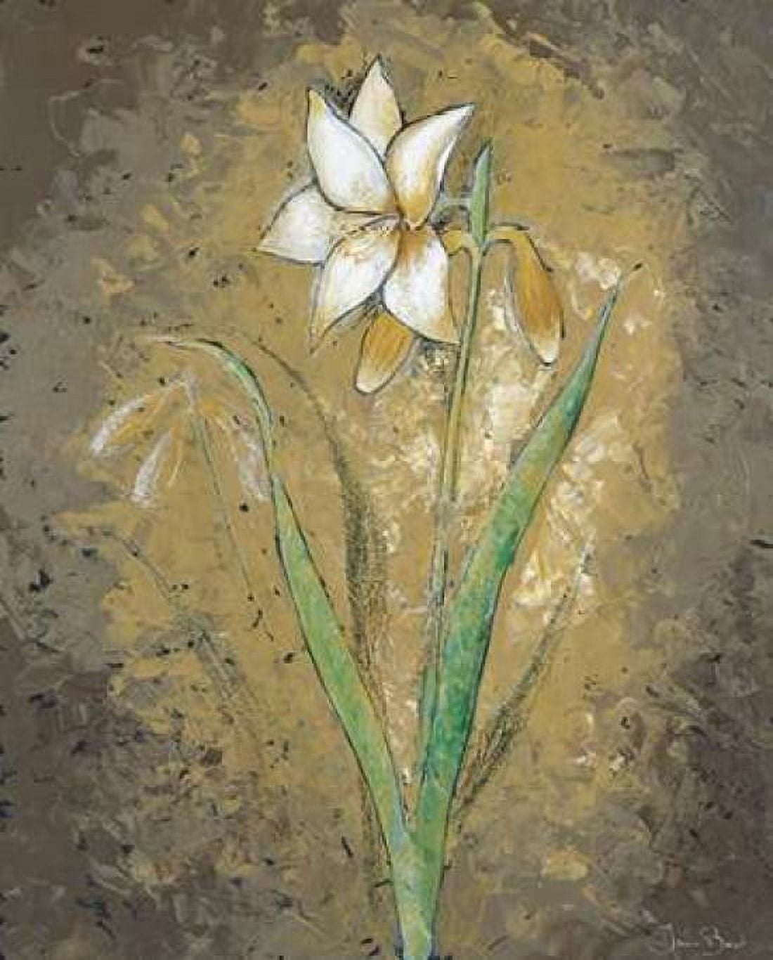 Posterazzi Dark side of a Lily Canvas Art - Julia Bonet (20 x 24)