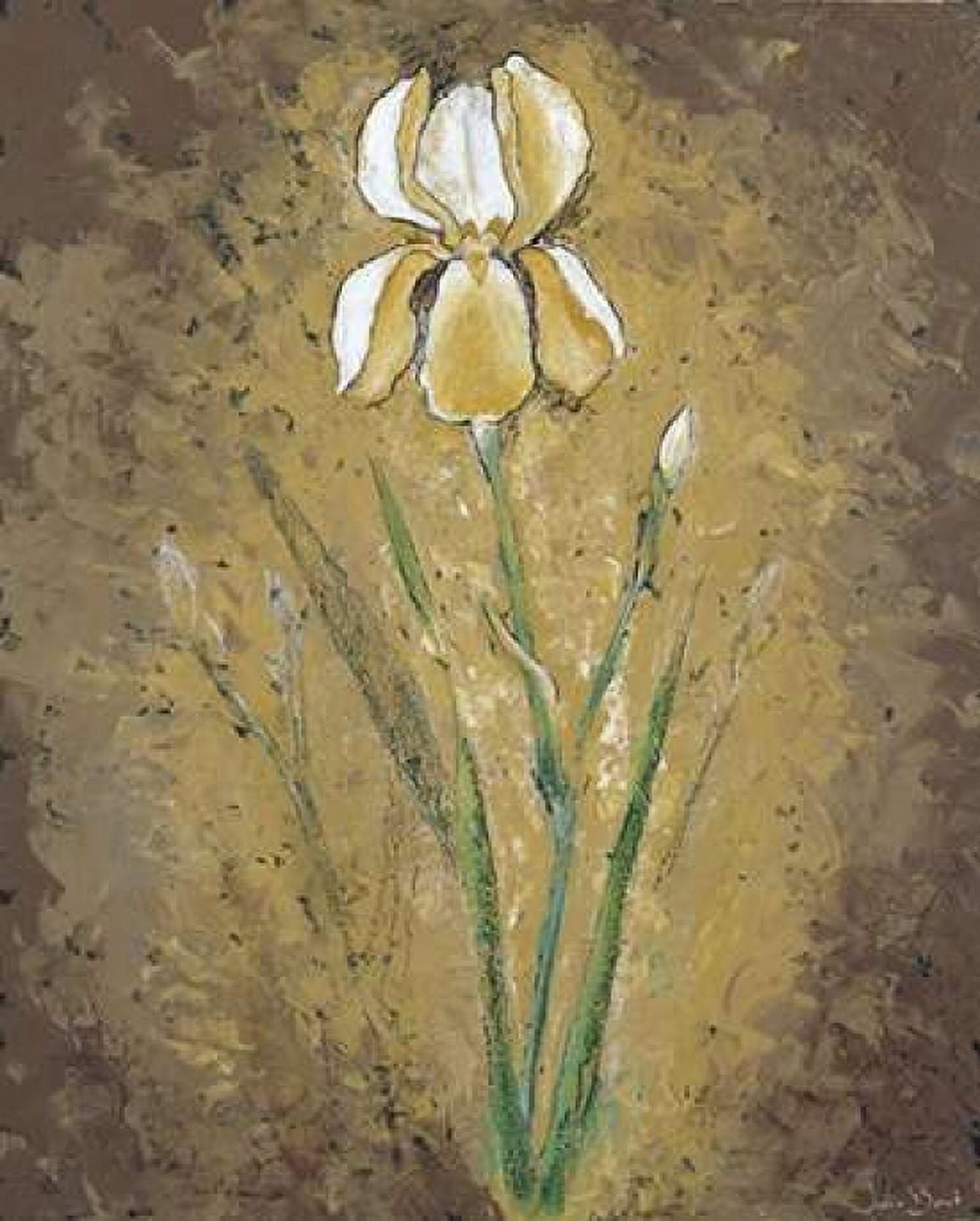 Posterazzi Dark side of an Amaryllis Canvas Art - Julia Bonet (20 x 24)